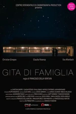 Gita di famiglia's poster