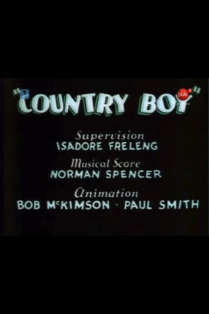 Country Boy's poster