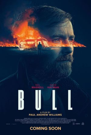 Bull's poster