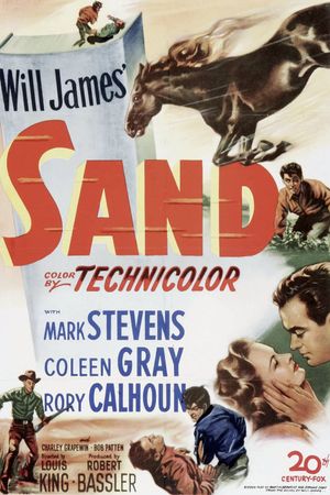 Sand's poster