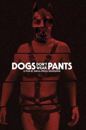 Dogs Don't Wear Pants's poster