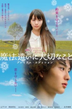 Mahô tsukai ni taisetsu na koto's poster