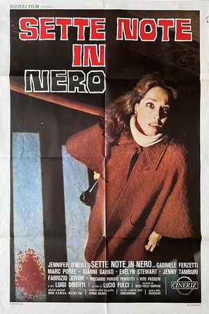 The Psychic's poster