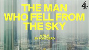 The Man Who Fell From The Sky's poster