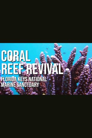 A Coral Reef Revival's poster