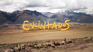 Encintados's poster