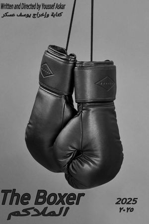 The Boxer's poster