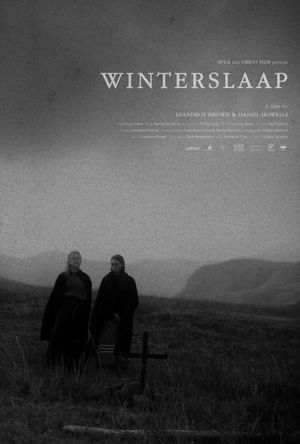 Hibernation's poster