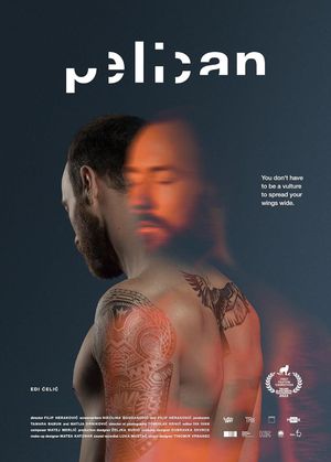 Pelican's poster