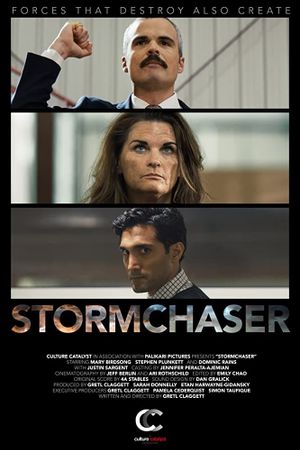 Stormchaser's poster