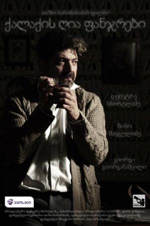 ქალაქის ღია ფანჯრები's poster