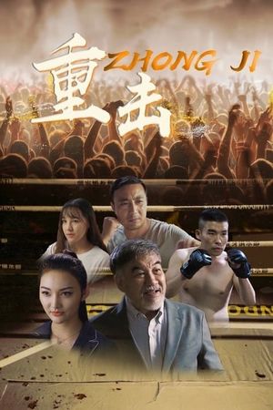 Punch's poster