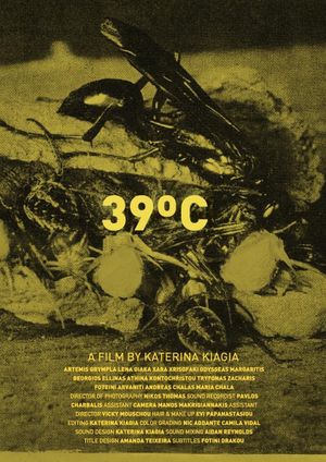 39ºC's poster