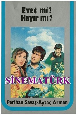 Evet mi? Hayir mi?'s poster