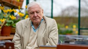 Attenborough's Wonder of Song's poster