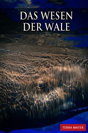 Das Wesen der Wale's poster