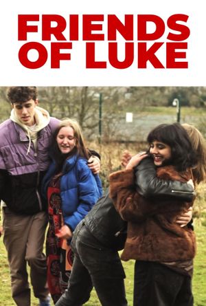 Friends of Luke's poster