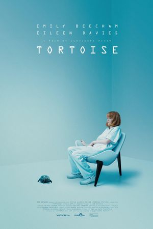 Tortoise's poster