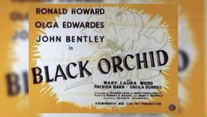 Black Orchid's poster