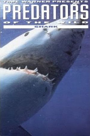 Predators of the Wild: Shark's poster image