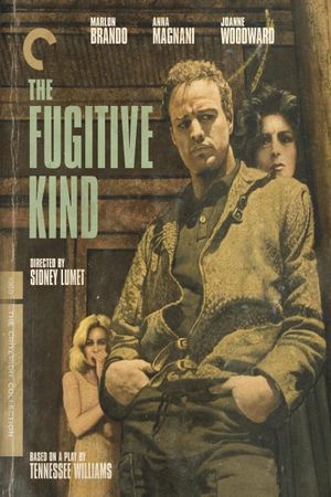 The Fugitive Kind's poster