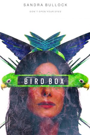 Bird Box's poster