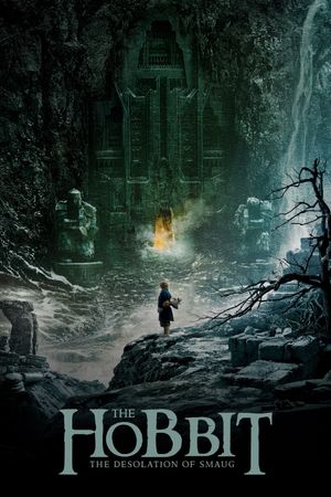 The Hobbit: The Desolation of Smaug's poster