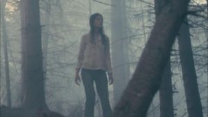 Antichrist's poster