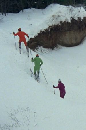 Ski de fond's poster