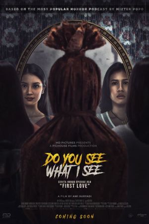 Do You See What I See's poster