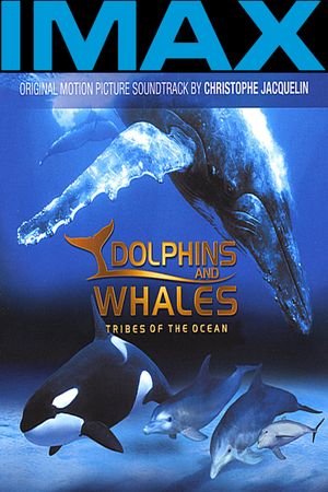IMAX Dolphins and Whales: Tribes of the Ocean's poster