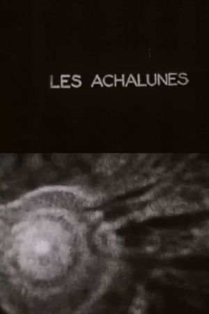 The Achalunés's poster