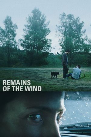 Remains of the Wind's poster