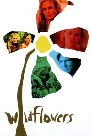 Wildflowers's poster