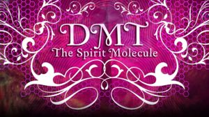 DMT: The Spirit Molecule's poster