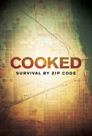 Cooked: Survival by Zip Code's poster
