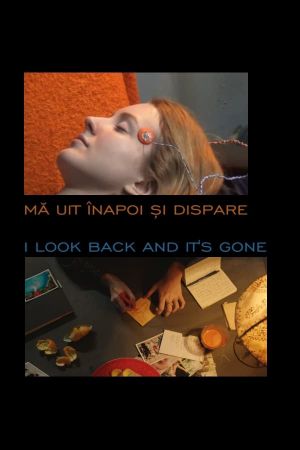 I Look Back and It's Gone's poster