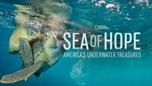 Sea of Hope: America's Underwater Treasures's poster