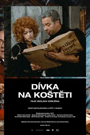 The Girl on a Broomstick's poster