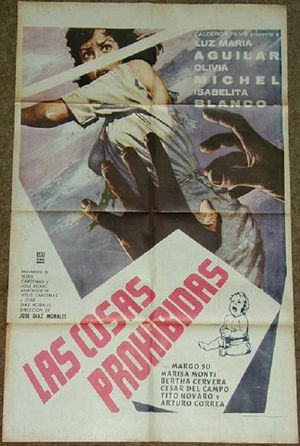 Las cosas prohibidas's poster