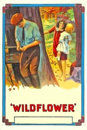 Wildflower's poster