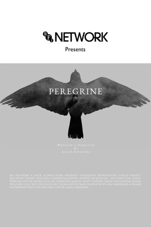 Peregrine's poster