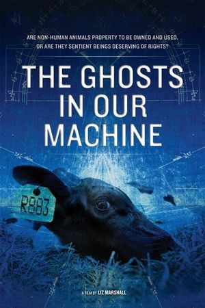 The Ghosts in Our Machine's poster