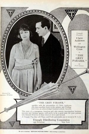 The Grey Parasol's poster