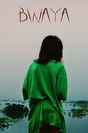 Crocodile's poster