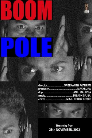 Boom Pole's poster