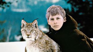 Tommy and the Wildcat's poster