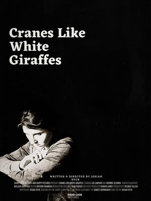 Cranes Like White Giraffes's poster image