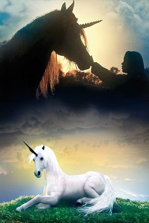 The Little Unicorn's poster