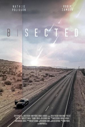 Bisected's poster